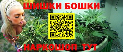 индика Комсомольск-на-Амуре