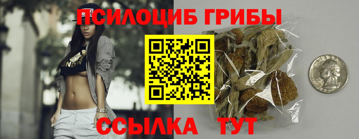 Псилоцибиновые грибы Cubensis Кизилюрт